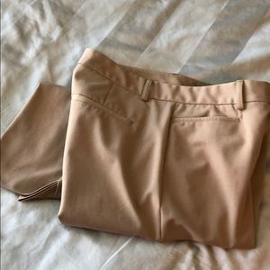 Express Editor pants